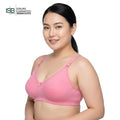Guddi LUXURY BRA | Indian Imported | 3 Hook | ISB Approved Genuine Guaranteed | IB251208874