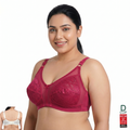 HK EVERYDAY NET | Cup D | Minimizer BRA | 3 Hook | D Cup | KB251115860