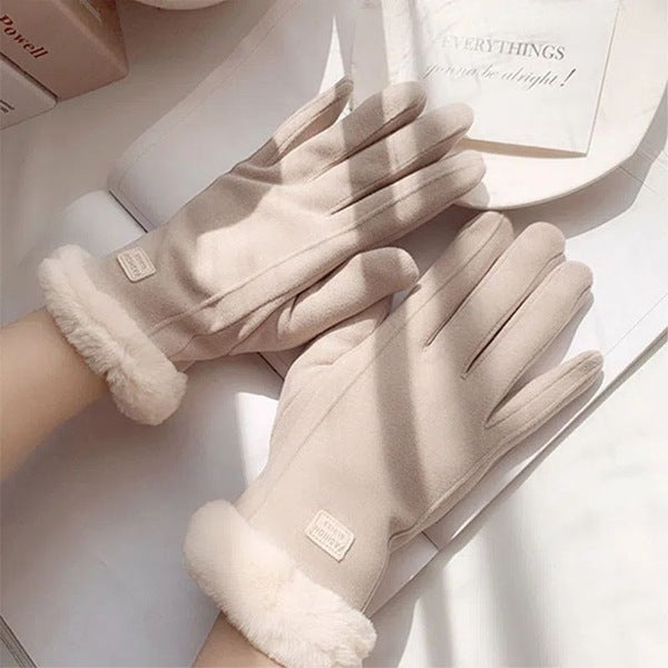 Winter Gloves for Women, Velvet, Thickeneded, Warm, Women's Cycling, Cold Protection, Driving, Anti-Freeze | China Imported | WRN251209875
