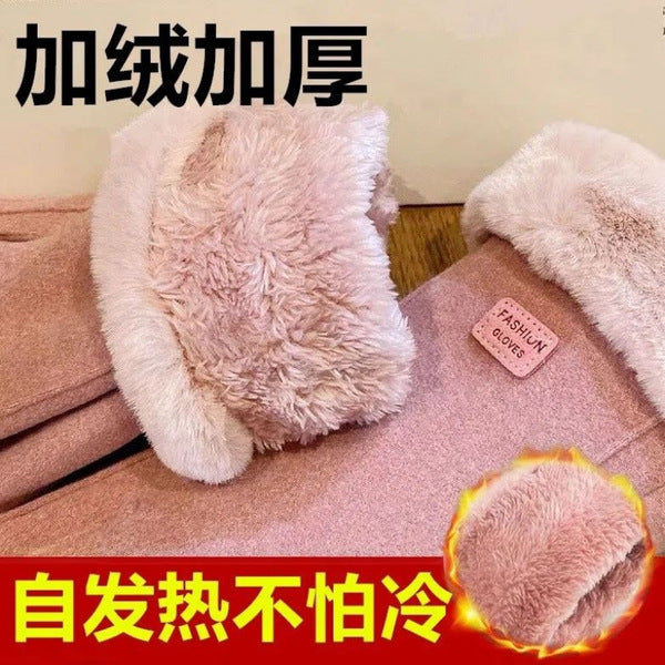 Winter Gloves for Women, Velvet, Thickeneded, Warm, Women's Cycling, Cold Protection, Driving, Anti-Freeze | China Imported | WRN251209875