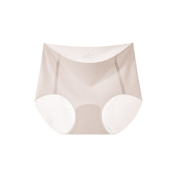 Thin & Traceless Invisible Panty | Peach Butt Seamless Women’s Briefs | Daily Wear Comfort | ISCP260810A282